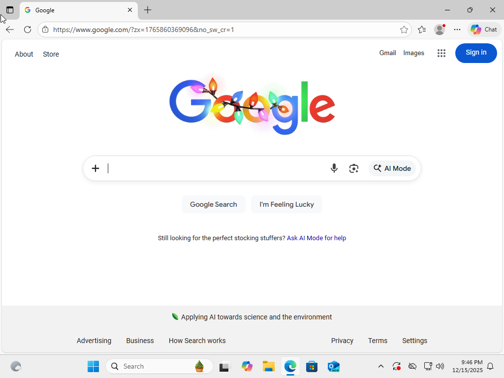 Browser loads successfully